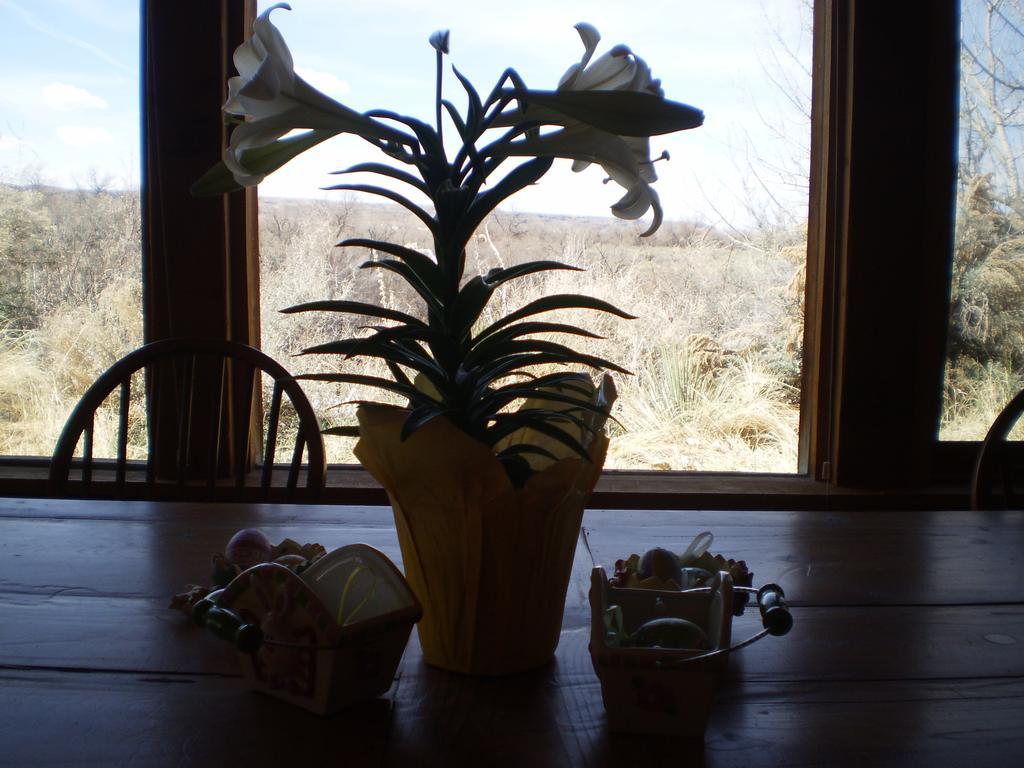Silver River Adobe Inn Bed And Breakfast Farmington Exteriör bild