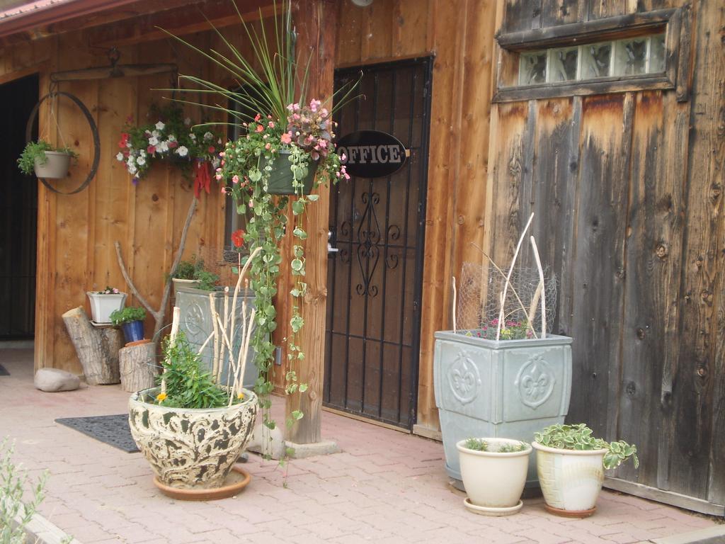 Silver River Adobe Inn Bed And Breakfast Farmington Exteriör bild