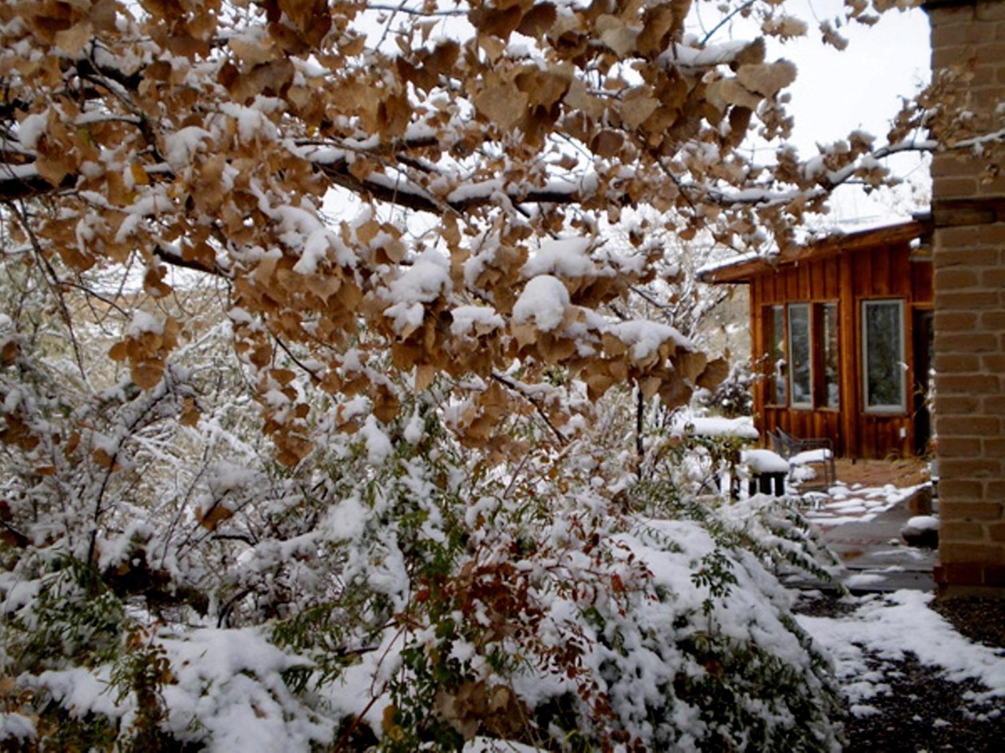Silver River Adobe Inn Bed And Breakfast Farmington Exteriör bild